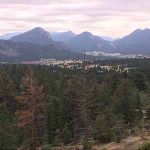 Meet your Posher, Krissa